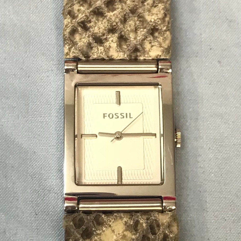Embossed snake skin on stainless steal watch